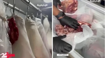 لحوم ودواجن فاسدة بالأحساء: ضبط منشأة كبرى قبل توزيعها على المطاعم